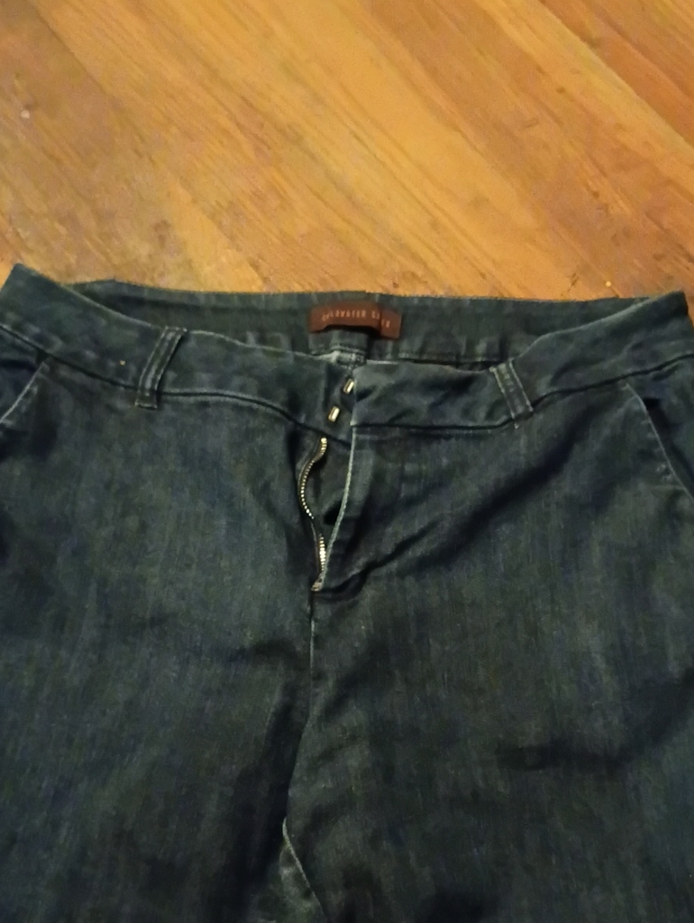 Dark Blue ColdWater Creek Trouser Jeans